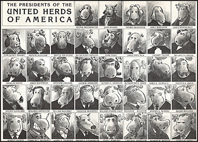 BOB FOSTER's THE EVOLUTION AND HISTORY OF MOOSEKIND