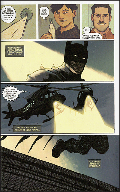 ABSOLUTE BATMAN Volume 1 The Zoo