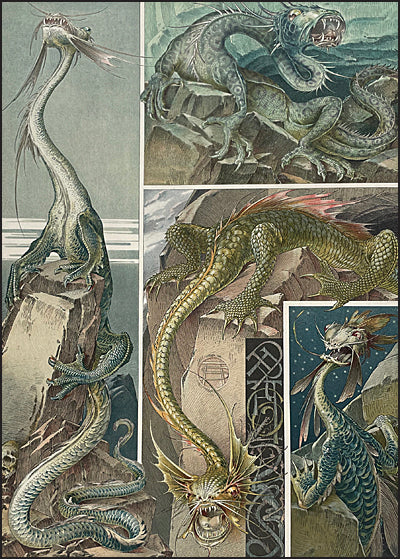 ANIMALIA & FANTASIA The Magical Worlds & Fantastic Creatures of Professor Anton Seder Slipcased