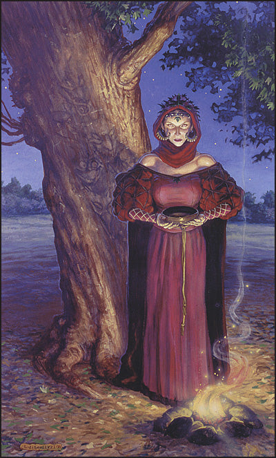 THE ART OF NEIL GAIMAN & CHARLES VESS' STARDUST