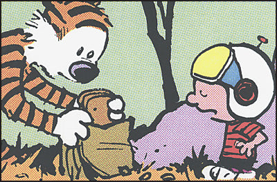 THE CALVIN AND HOBBES PORTABLE COMPENDIUM SET Volume 3