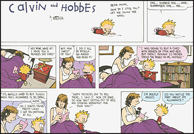 THE CALVIN AND HOBBES PORTABLE COMPENDIUM SET Volume 3
