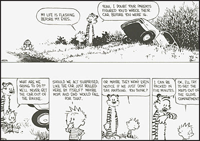 THE CALVIN AND HOBBES PORTABLE COMPENDIUM SET Volume 3