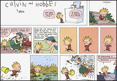 THE CALVIN AND HOBBES PORTABLE COMPENDIUM SET Volume 4