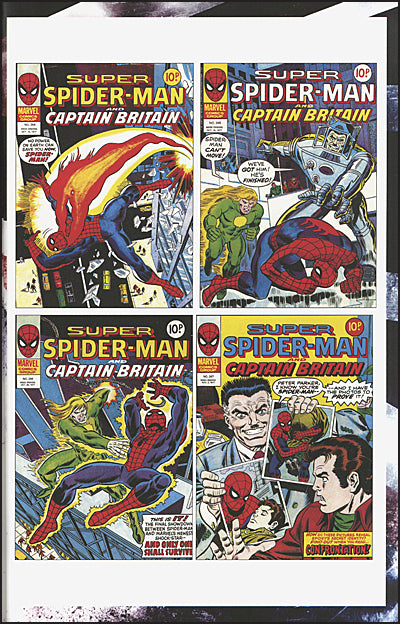CAPTAIN BRITAIN Omnibus Wilson Cover