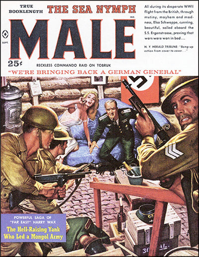 HE-MEN, BAG MEN & NYMPHOS Classic Men's Adventure Stories by Walter Kaylin Hardcover
