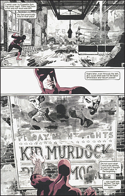 JEPH LOEB & TIM SALE DAREDEVIL Gallery Edition