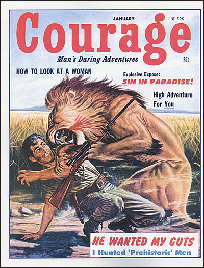 MEN'S ADVENTURE QUARTERLY Volume 14