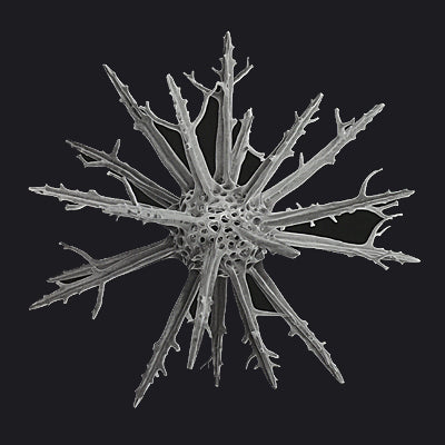 NANOCOSMOS JOURNEYS IN ELECTRON SPACE