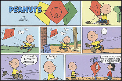 PEANUTS EVERY SUNDAY THE 1990S Slipcased Set