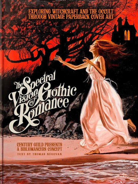 THE SPECTRAL VISION OF GOTHIC ROMANCE