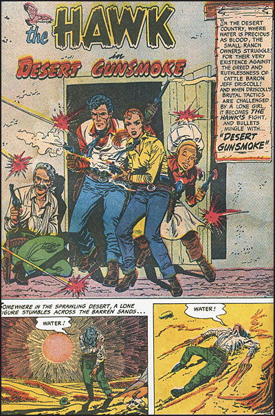 THE HAWK Volume 1 Hardcover