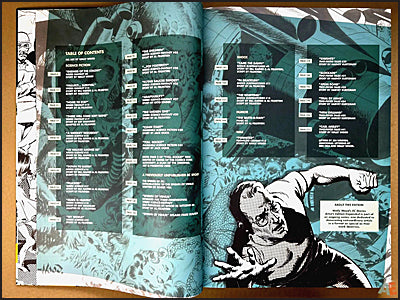 WALLY WOOD'S EC STORIES EXPANDED ARTIST'S EDITION