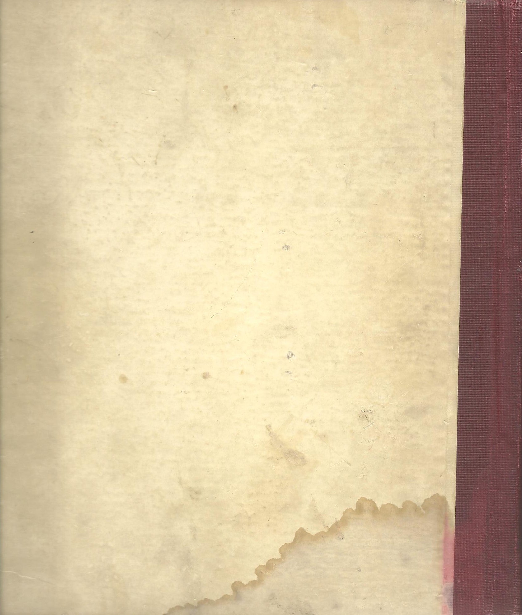 BRINGING UP FATHER THE BIG BOOK