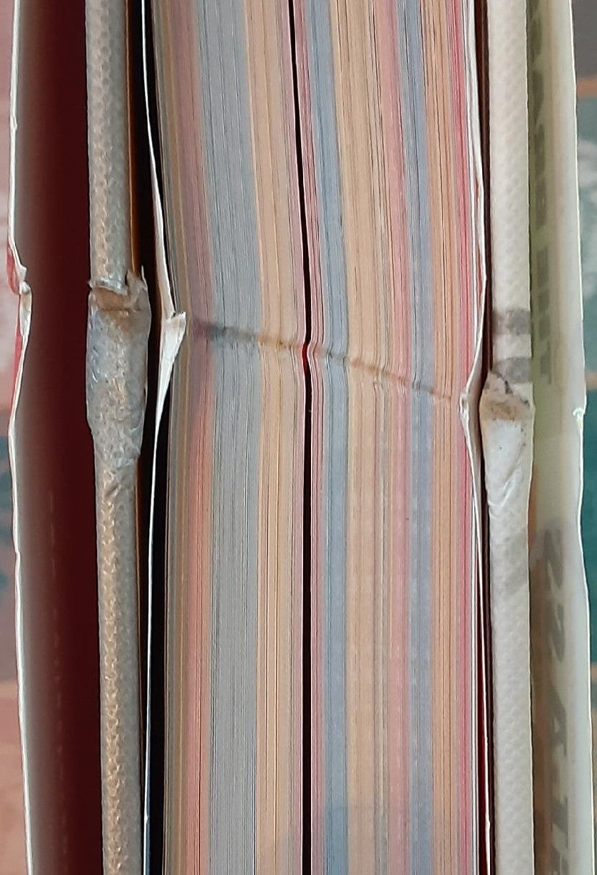 THE GREAT AMERICAN PAPERBACK