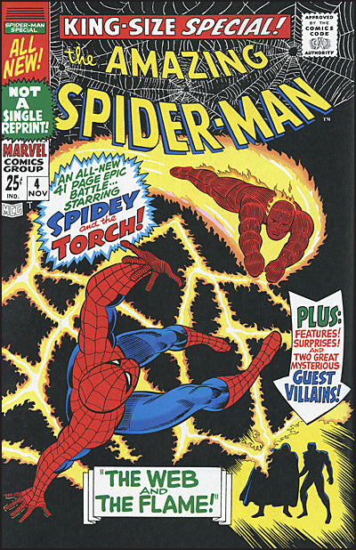 AMAZING SPIDER-MAN Epic Collection Volume 3 Spider-Man No More