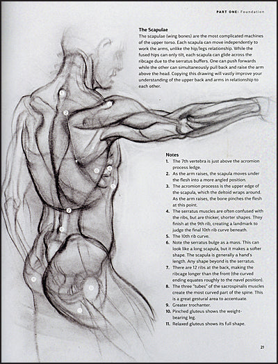 THE ANATOMY OF STYLE Figure Drawing Techniques
