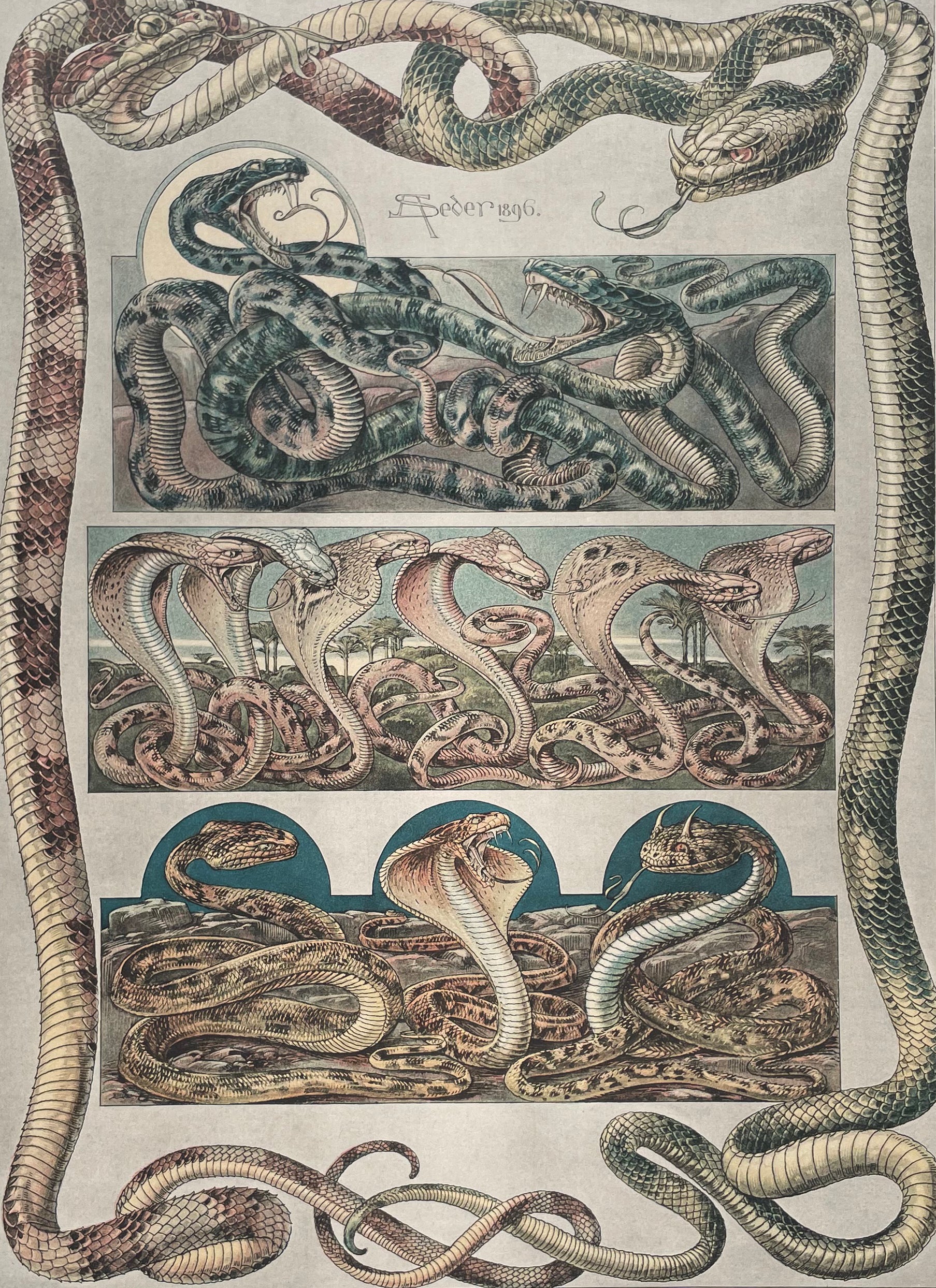 ANIMALIA & FANTASIA The Magical Worlds & Fantastic Creatures of Professor Anton Seder Slipcased