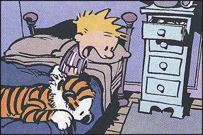 THE CALVIN AND HOBBES PORTABLE COMPENDIUM SET Volume 1