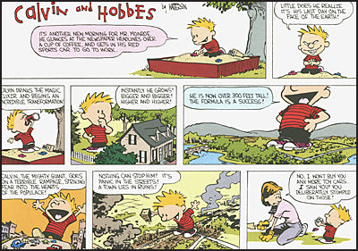 THE CALVIN AND HOBBES PORTABLE COMPENDIUM SET Volume 1