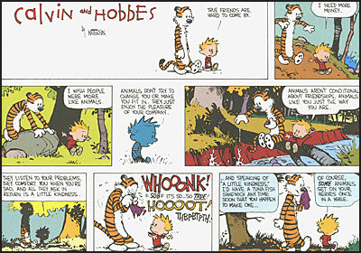 THE CALVIN AND HOBBES PORTABLE COMPENDIUM SET Volume 3