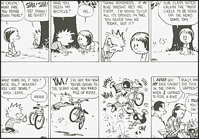THE CALVIN AND HOBBES PORTABLE COMPENDIUM SET Volume 4