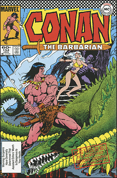 CONAN THE BARBARIAN The Original Comics Omnibus Volume 6