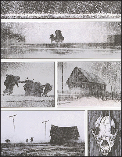 CORMAC MCCARTHY'S THE ROAD