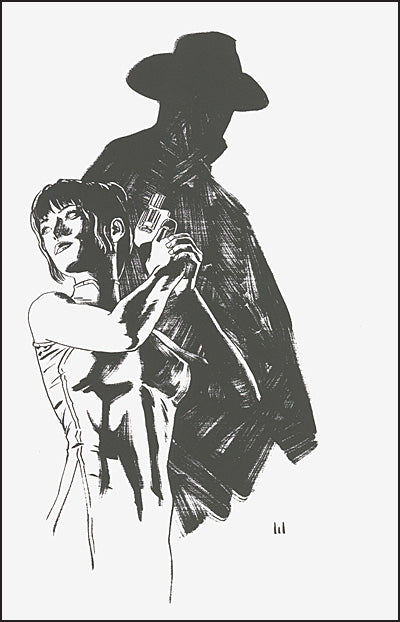 DARK AVENGER The Strange Saga of the Shadow Hardcover