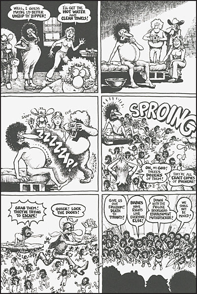 THE FABULOUS FURRY FREAK BROTHERS In The 21st Century and Other Follies