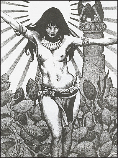 THE FANTASTIC WORLDS OF ROBERT E. HOWARD