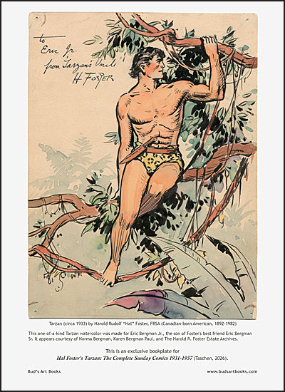 HAL FOSTER'S TARZAN The Complete Sunday Comics 1931-1937 XXL