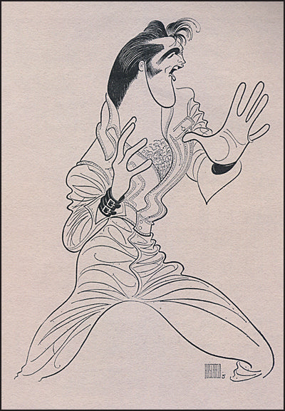 HIRSCHFELD'S ICONS A Poster Book