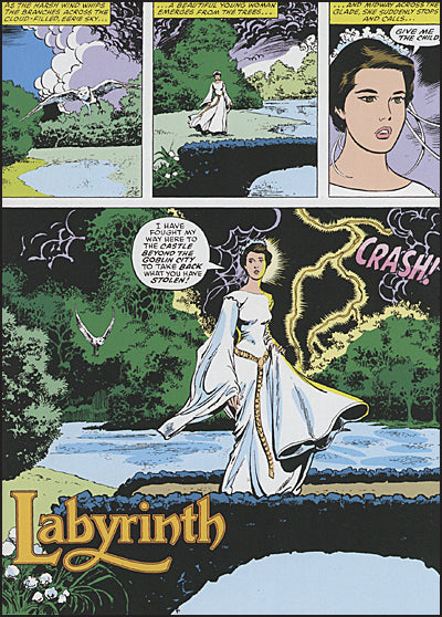 JIM HENSON'S LABYRINTH Archive Edition