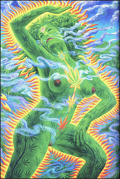 THE LIBRARY OF ESOTERICA Plant Magick