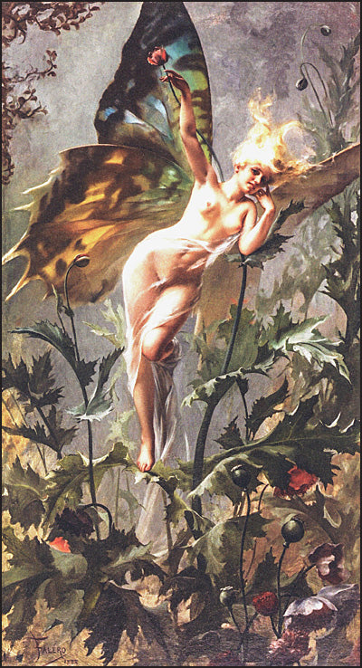 THE LIBRARY OF ESOTERICA Plant Magick