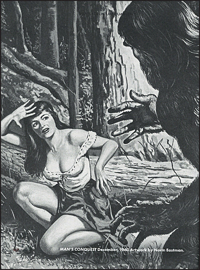 MEN'S ADVENTURE QUARTERLY Volume 14