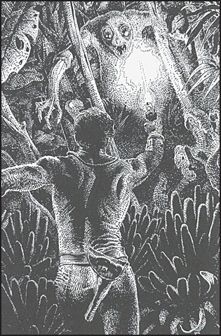 MOEBIUS