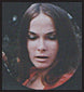 MORE, MORE, MORE ANDREA TRUE COLLECTION DVD