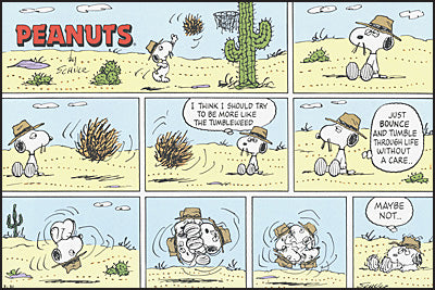 PEANUTS EVERY SUNDAY THE 1990S Slipcased Set