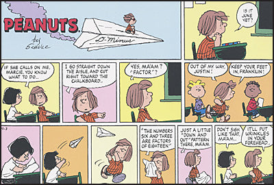 PEANUTS EVERY SUNDAY THE 1990S Slipcased Set