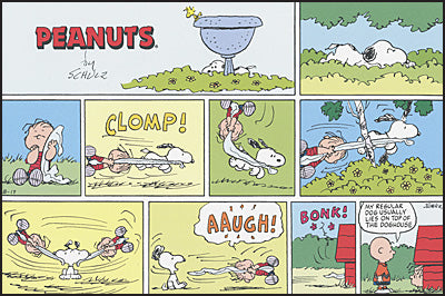 PEANUTS EVERY SUNDAY THE 1990S Slipcased Set