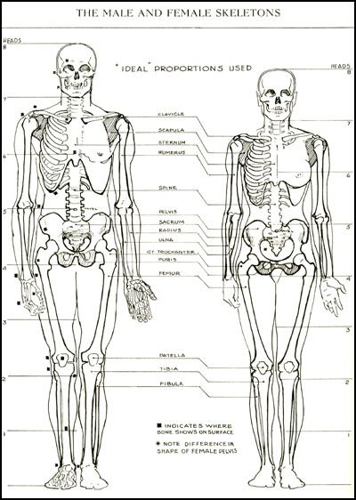 FIGURE DRAWING FOR ALL IT'S WORTH