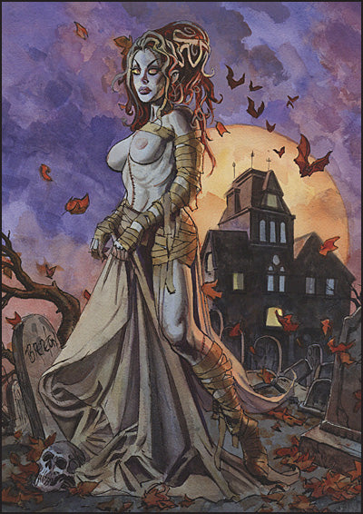 PHANTOM FATALE Pulp and Pulchritude By Dan Brereton with Original Drawing