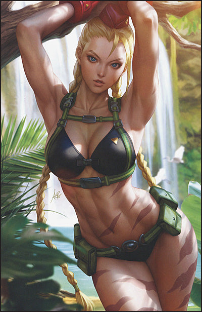 STREET FIGHTER SWIMSUIT SPECIAL COLLECTION Volume 2