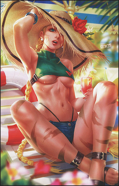STREET FIGHTER SWIMSUIT SPECIAL COLLECTION Volume 2