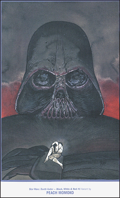 STAR WARS VISIONS