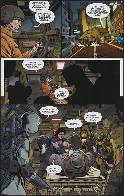 TEENAGE MUTANT NINJA TURTLES: THE LAST RONIN II‚Äö√Ñ√ÆRE-EVOLUTION #2 Cover A
