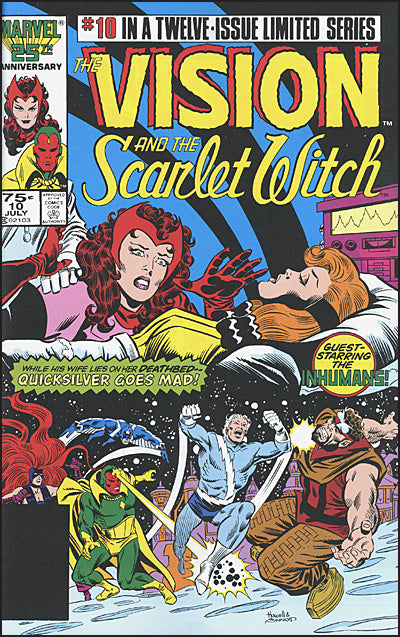VISION & THE SCARLET WITCH The Saga of Wanda and Vision