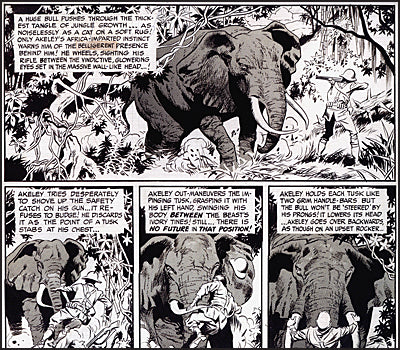 WALLY WOOD'S EC STORIES EXPANDED ARTIST'S EDITION